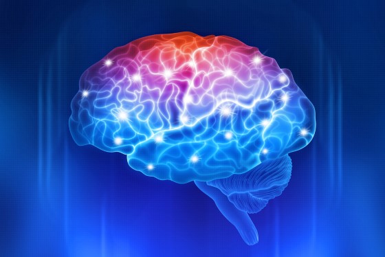 Kanabinoidy obsažené v konopí působí na receptory v mozku - různá hustota a množství těchto receptorů má vliv na projevy působení konopí